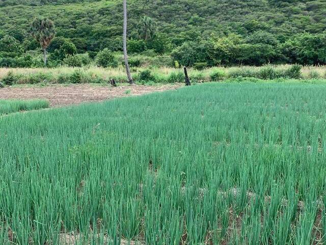 #6 - Terreno para Venta en Santo Domingo - Santo Domingo