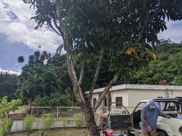 #6 - Terreno para Venta en Santo Domingo - Santo Domingo